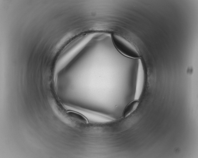 X0000113070530200909182027