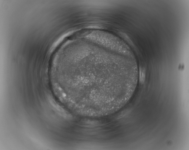 X0000113070531200909182027