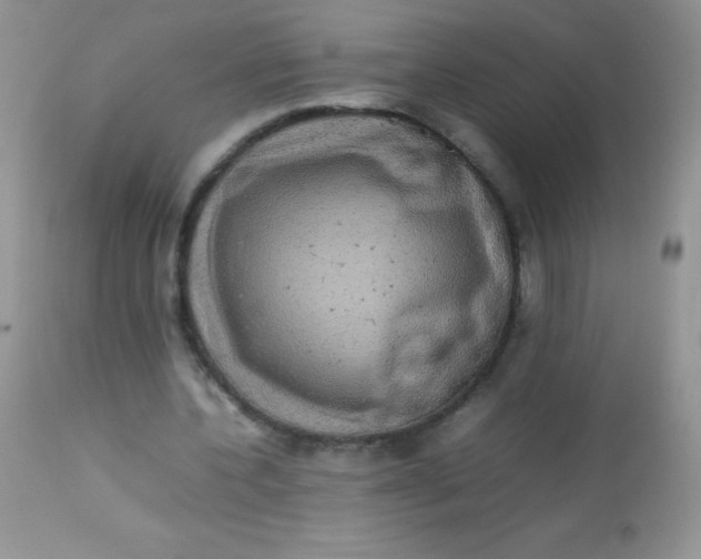 X0000113070532200909182027