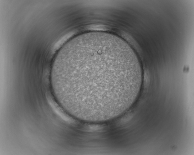 X0000113070533200909182027