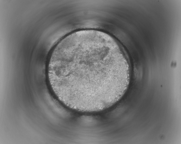 X0000113070534200909182027