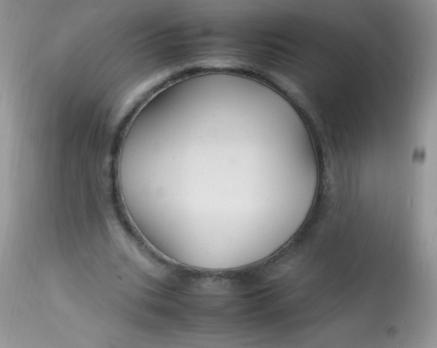 X0000113070535200909182027