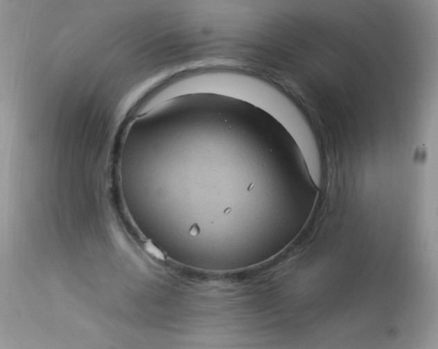 X0000113070536200909182027