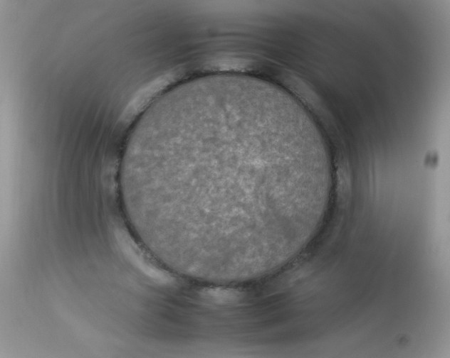 X0000113070537200909182027