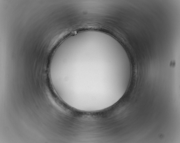 X0000113070538200909182027