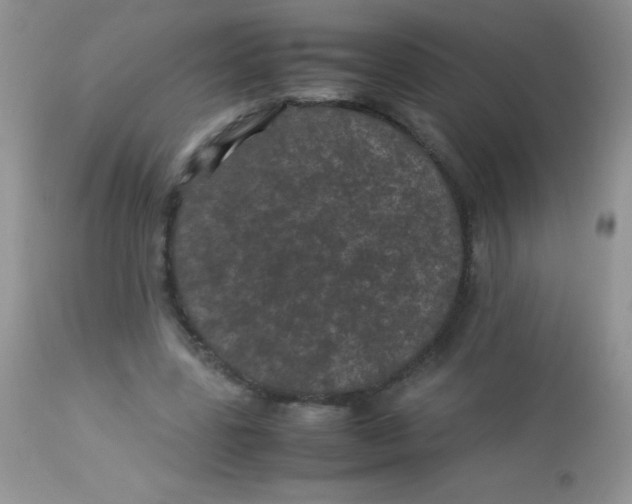 X0000113070539200909182027