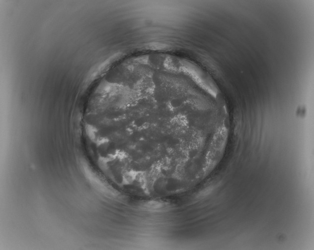 X0000113070542200909182027