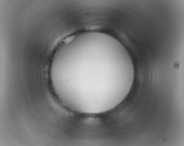 X0000113070543200909182027