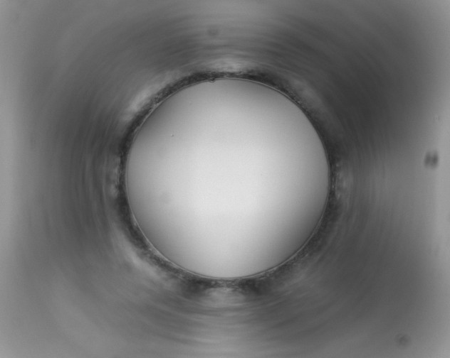 X0000113070544200909182027