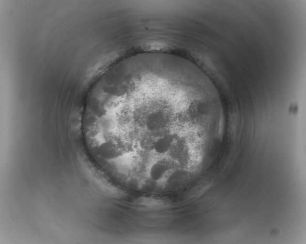 X0000113070545200909182027