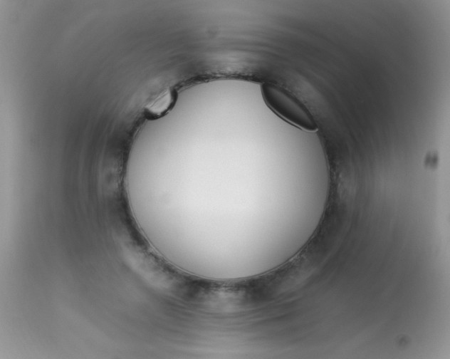 X0000113070546200909182027