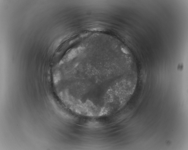 X0000113070547200909182027