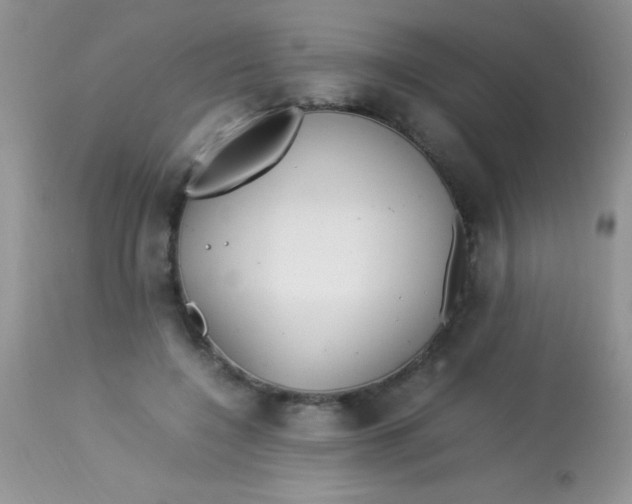 X0000113070548200909182027