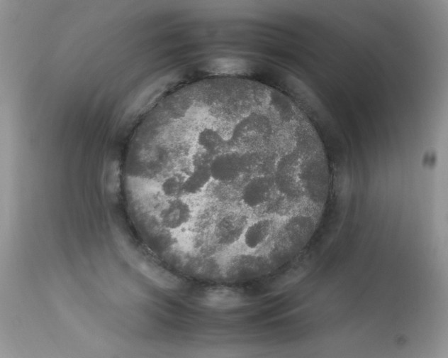 X0000113070549200909182027