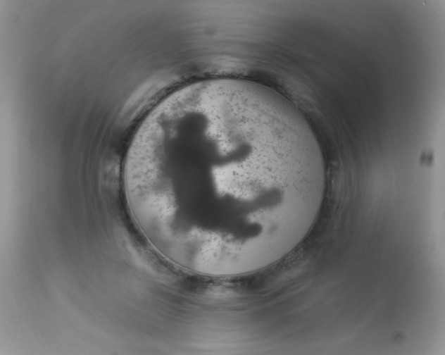 X0000113070550200909182027