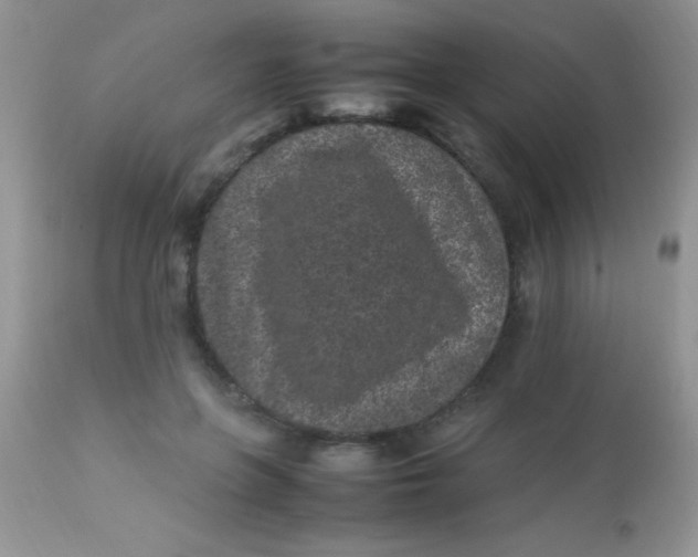 X0000113070551200909182027