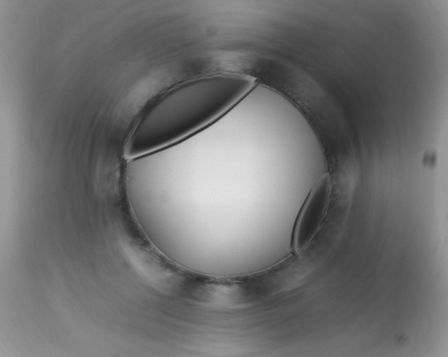 X0000113070552200909182027