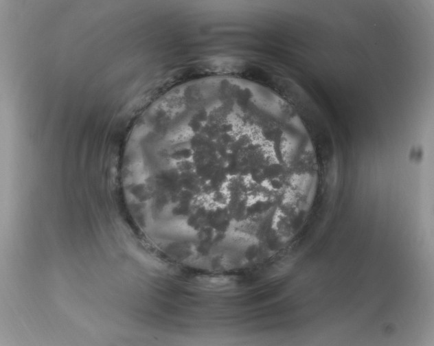 X0000113070553200909182027