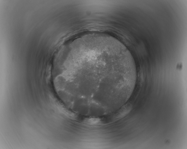 X0000113070554200909182027