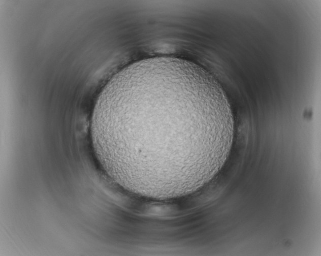 X0000113070555200909182027