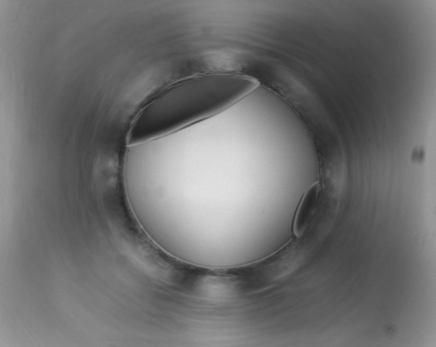 X0000113070556200909182027