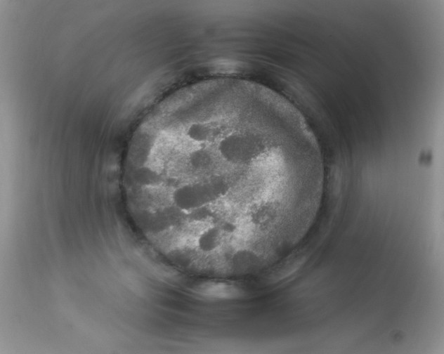 X0000113070557200909182027