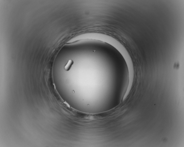 X0000113070558200909182027