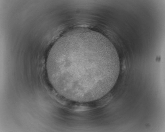 X0000113070559200909182027