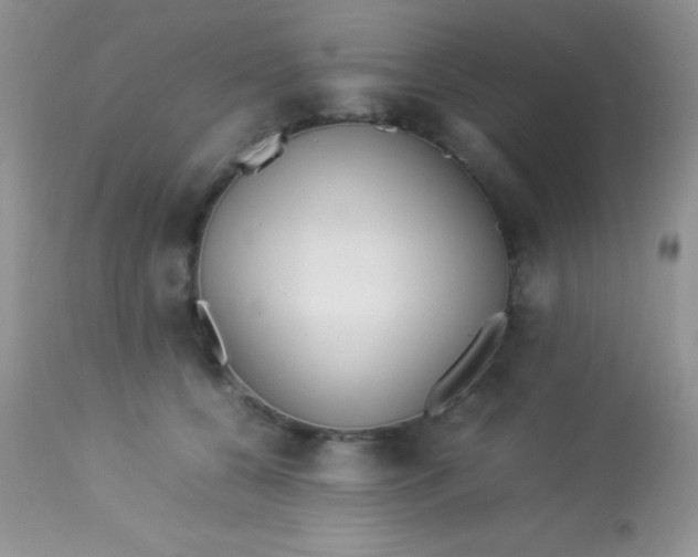 X0000113070560200909182027