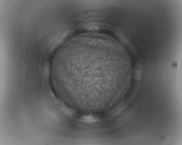 X0000113070561200909182027