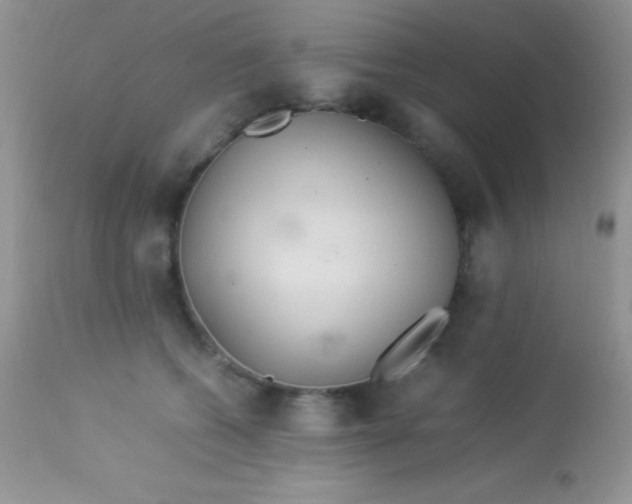 X0000113070562200909182027