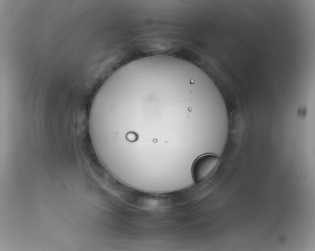 X0000113070563200909182027