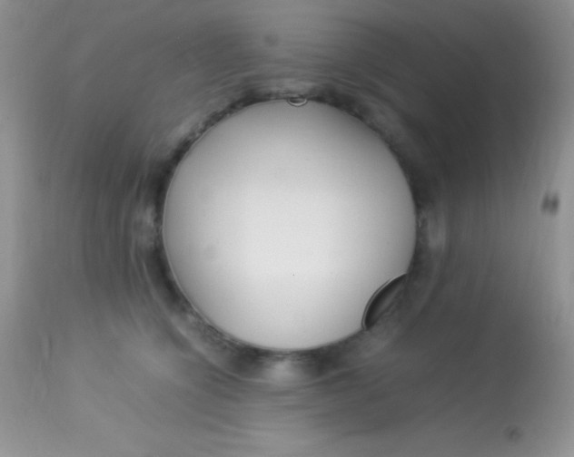 X0000113070564200909182027