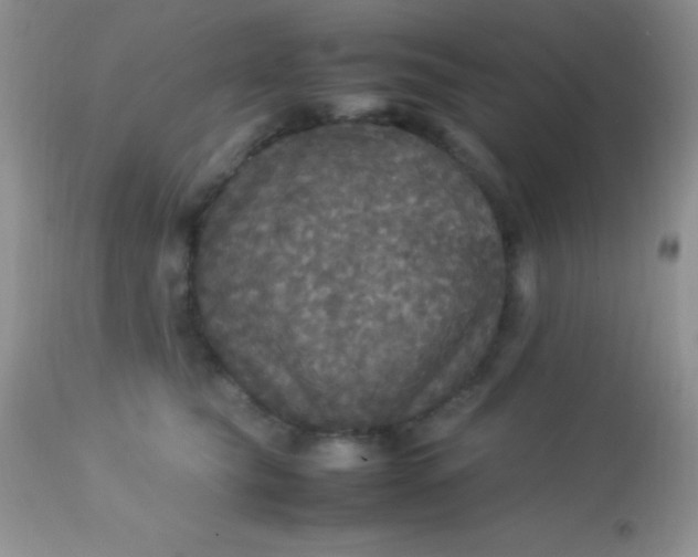 X0000113070565200909182027