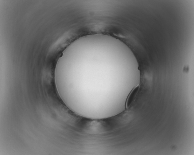 X0000113070566200909182027