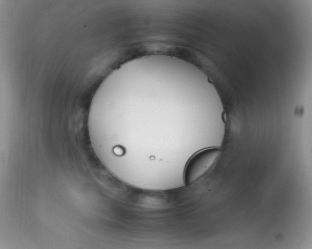 X0000113070567200909182027