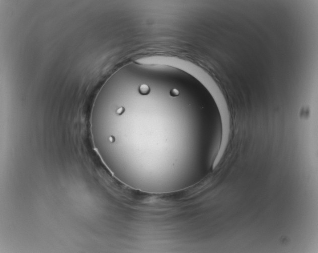 X0000113070568200909182027