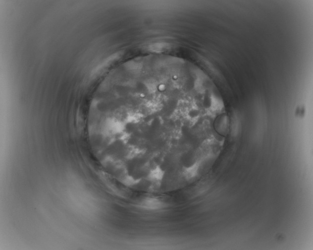 X0000113070569200909182027