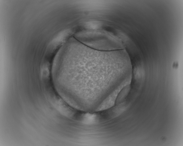 X0000113070570200909182027