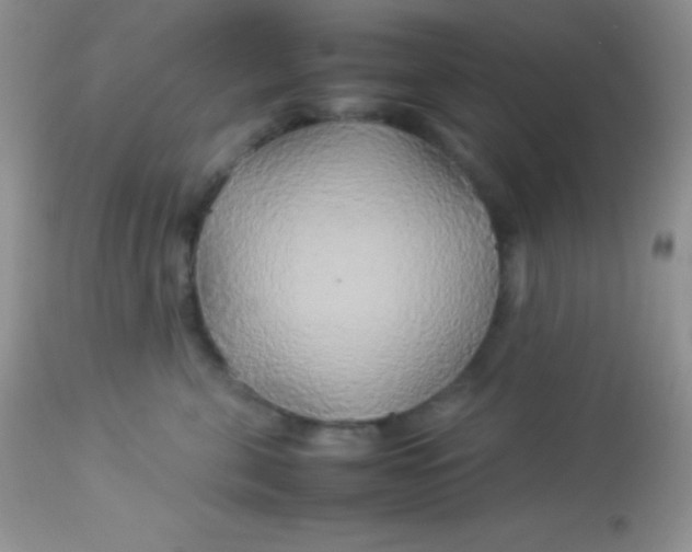 X0000113070571200909182027