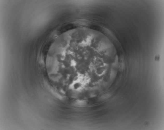 X0000113070573200909182027