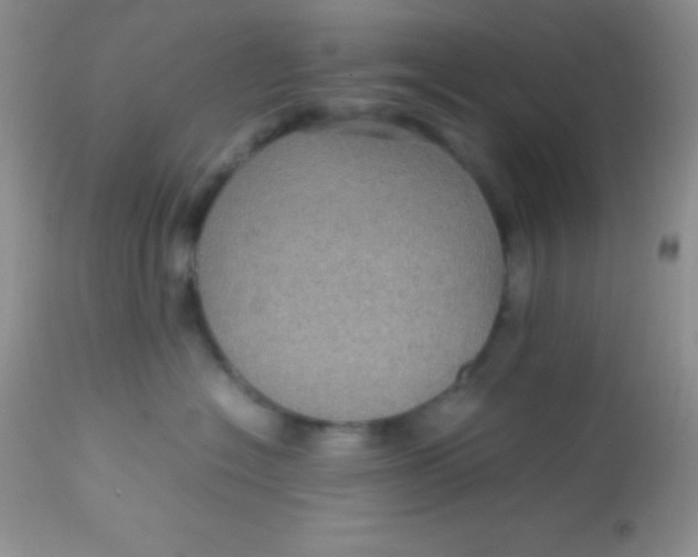 X0000113070574200909182027