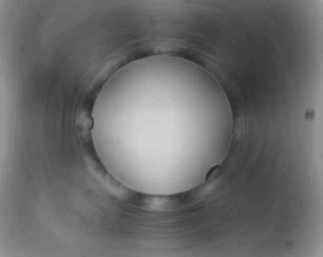 X0000113070575200909182027