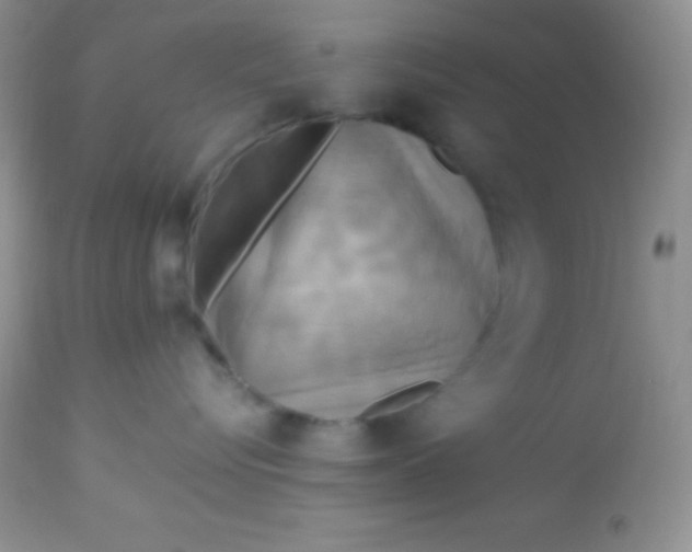 X0000113070576200909182027