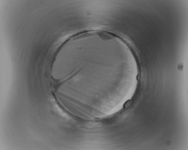 X0000113070577200909182027