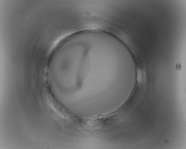 X0000113070579200909182027