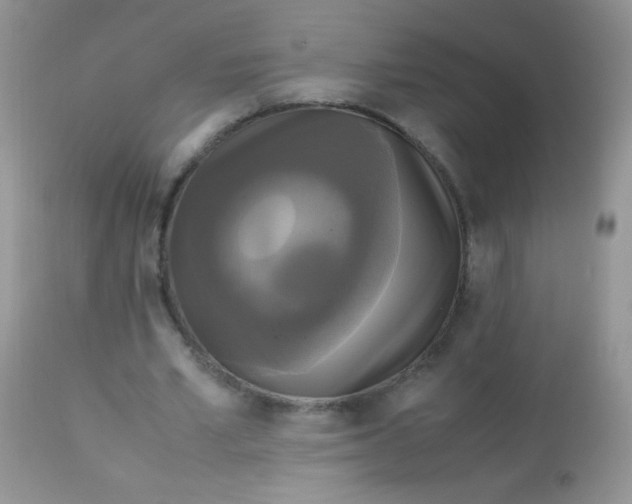 X0000113070581200909182026