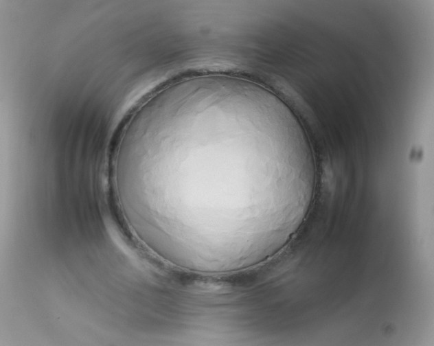 X0000113070582200909182026