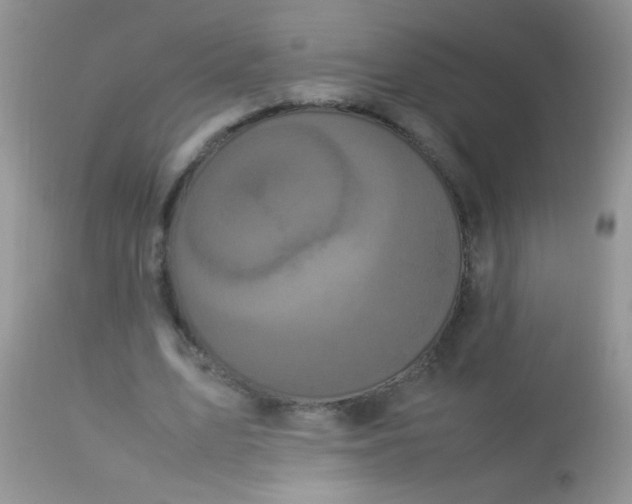 X0000113070583200909182026