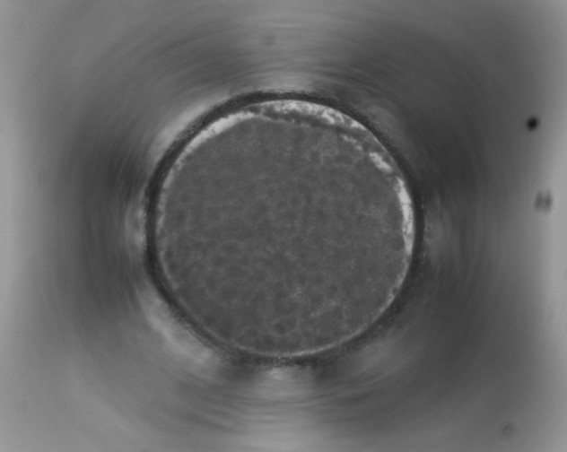 X0000113070584200909182026